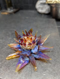 Ember Tide Water Lily | Handmade Boro Glass Flower | One-of-One | Disasterpiece Glass
